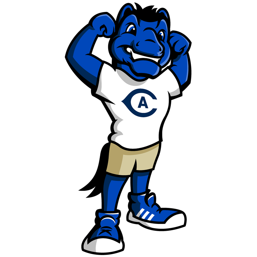 California Davis Aggies 2022-Pres Mascot Logo v2 diy iron on heat transfer
